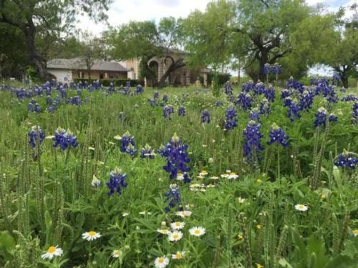 Live Oaks Bed And Breakfast Uvalde Exterior foto