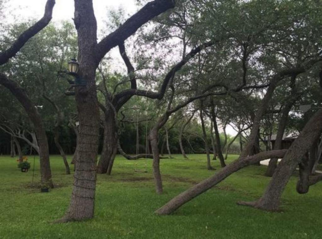 Live Oaks Bed And Breakfast Uvalde Exterior foto